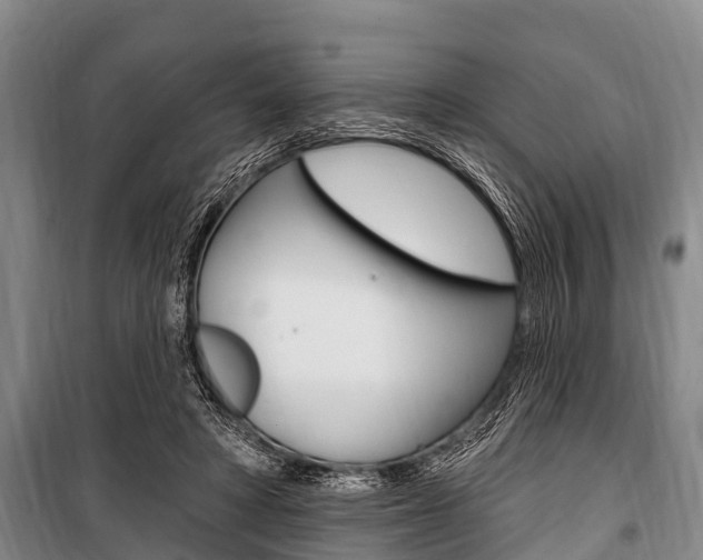 X0000101150402200806270805