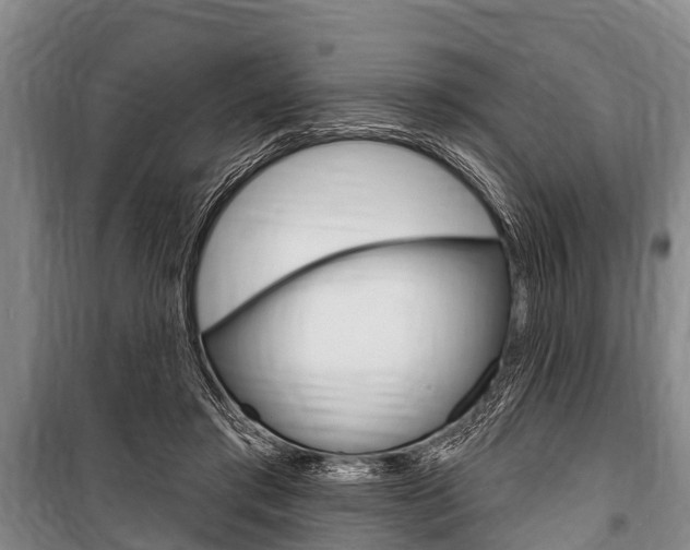 X0000101150405200806270805