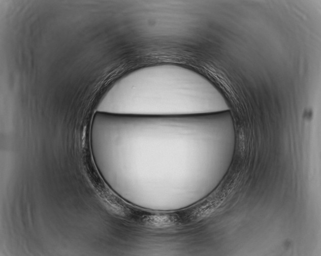 X0000101150406200806270805