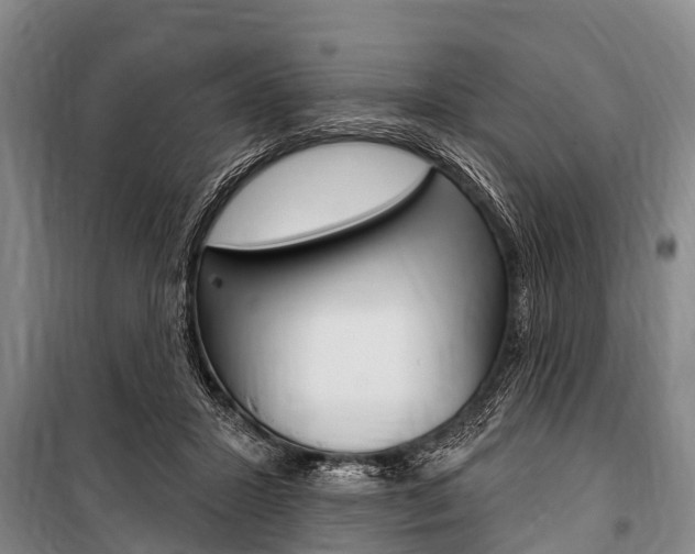 X0000101150407200806270805