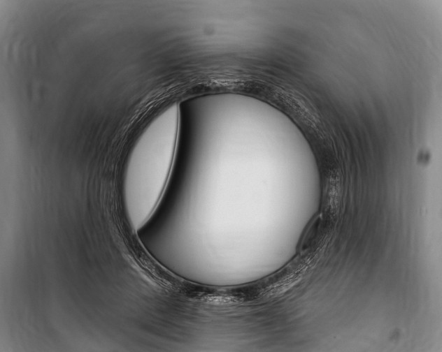 X0000101150408200806270805