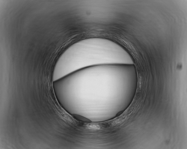 X0000101150409200806270805