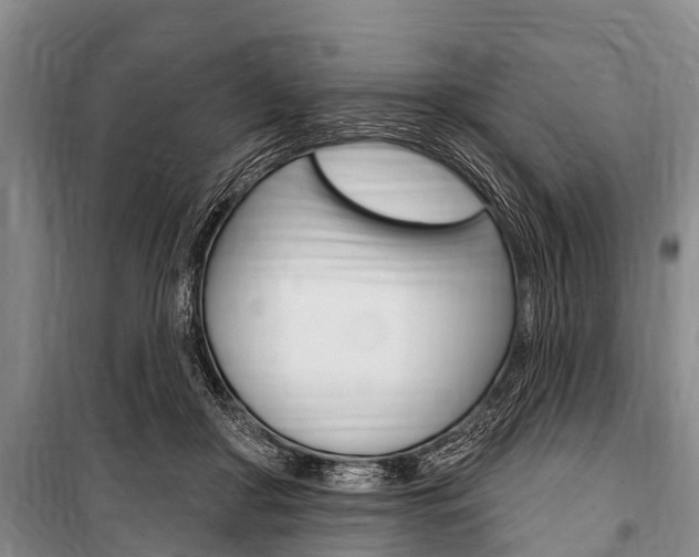 X0000101150410200806270805