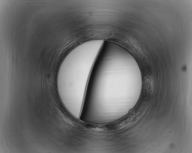 X0000101150412200806270805