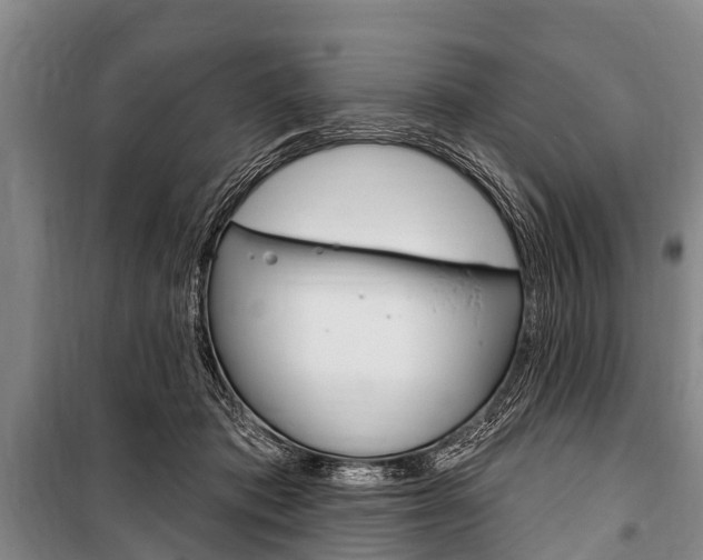 X0000101150413200806270805
