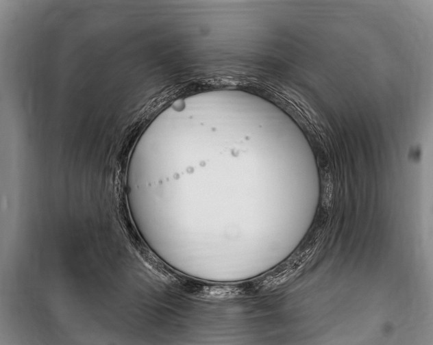 X0000101150414200806270805