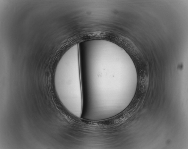 X0000101150416200806270804