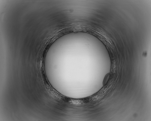 X0000101150417200806270804