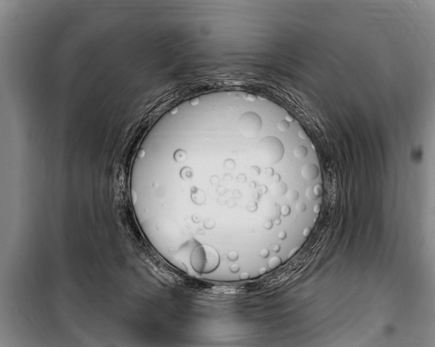 X0000101150418200806270804