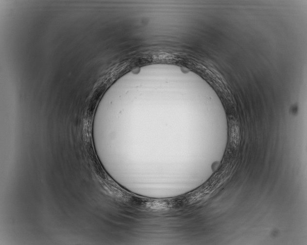 X0000101150419200806270804