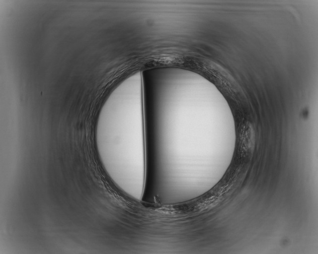 X0000101150420200806270804