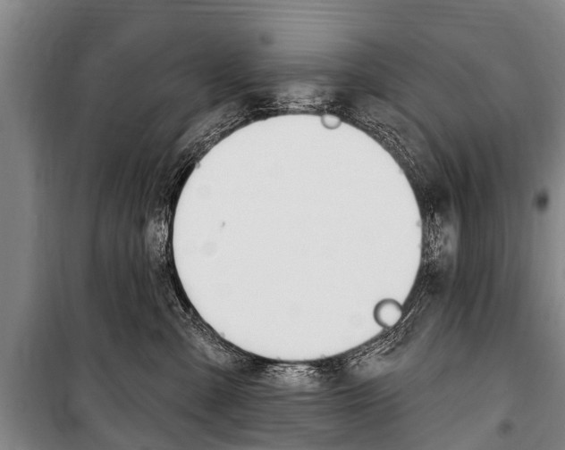 X0000101150427200806270804
