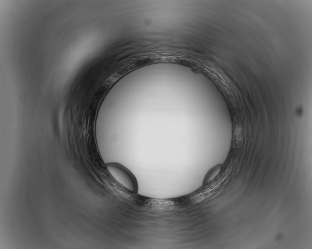X0000101150429200806270804