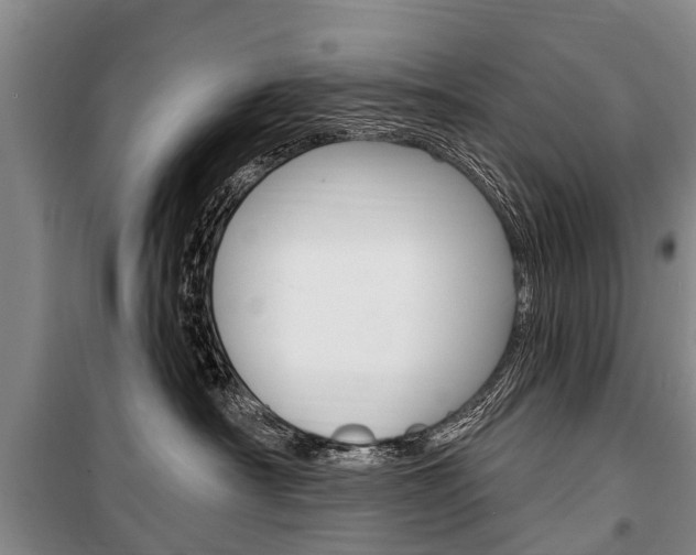X0000101150430200806270804