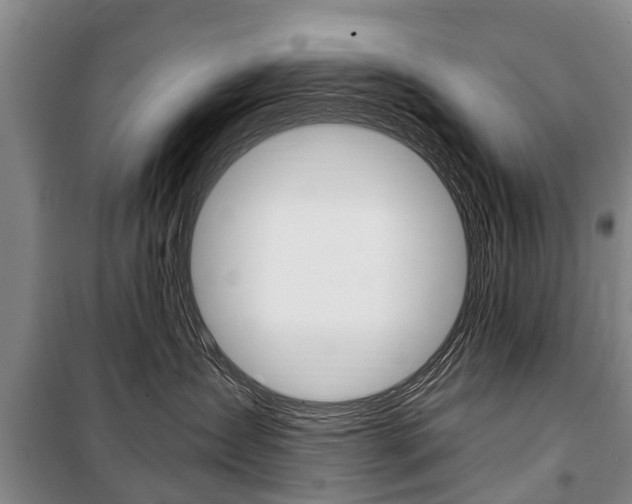 X0000101150431200806270804