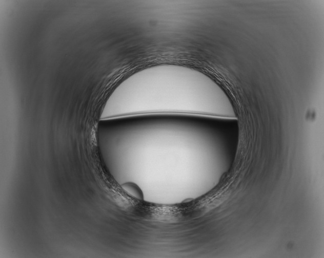 X0000101150432200806270804