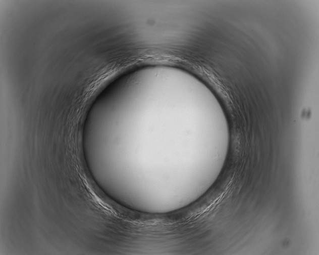 X0000101150433200806270804