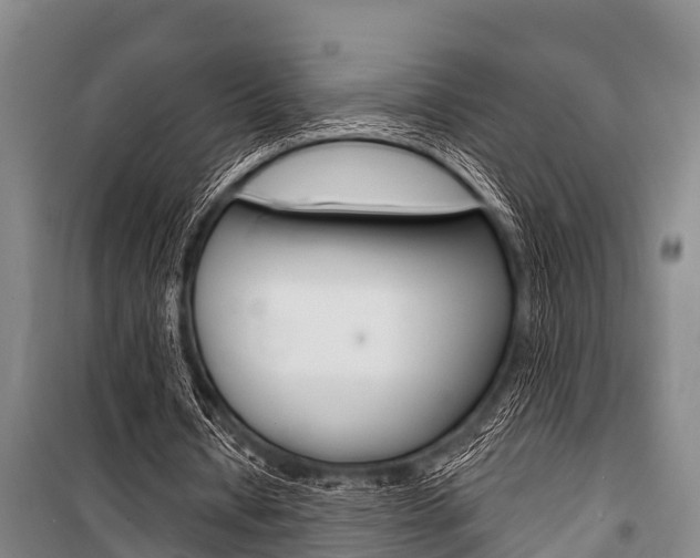 X0000101150434200806270804