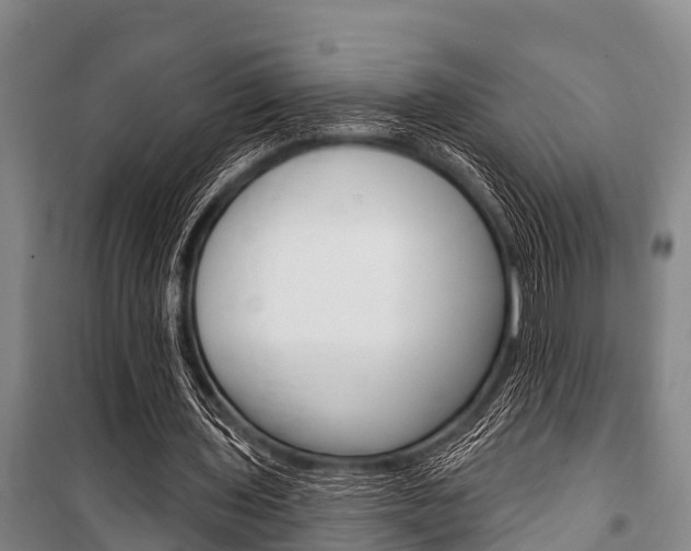 X0000101150435200806270804