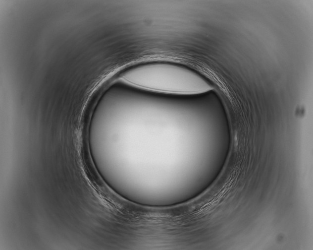 X0000101150436200806270804