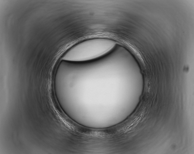 X0000101150437200806270804