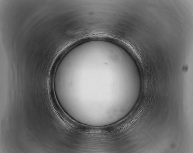X0000101150439200806270804