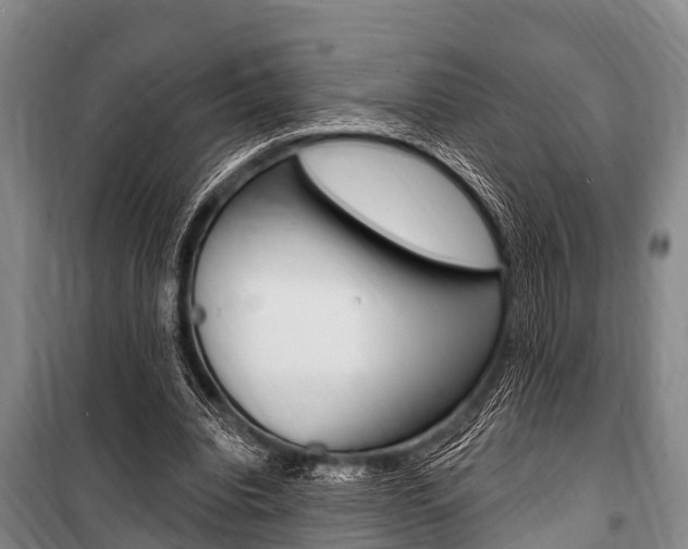 X0000101150440200806270804