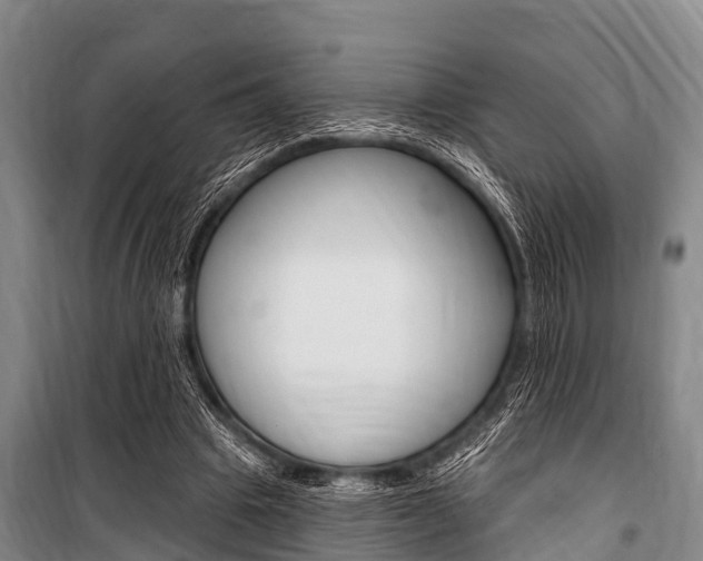 X0000101150441200806270804