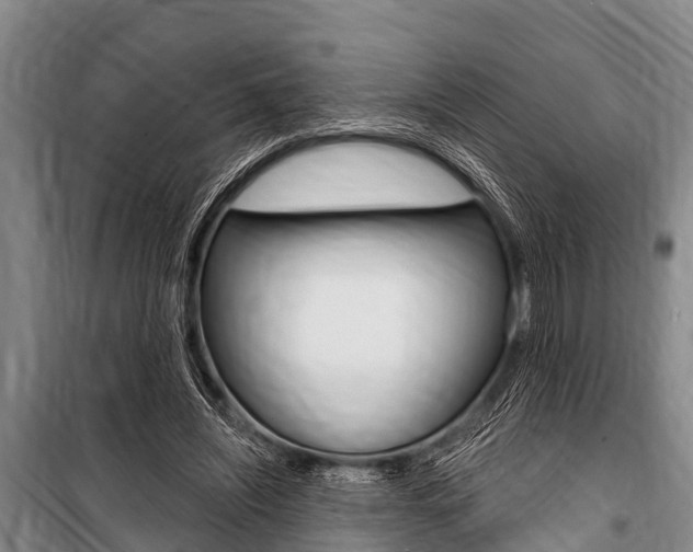 X0000101150444200806270804