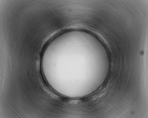 X0000101150446200806270804