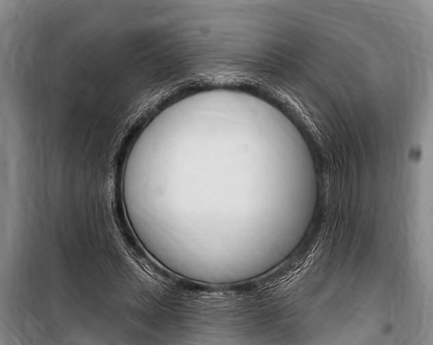 X0000101150447200806270804