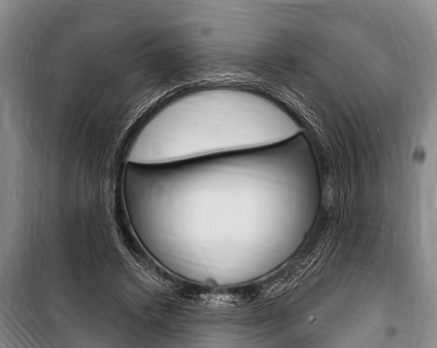 X0000101150448200806270804
