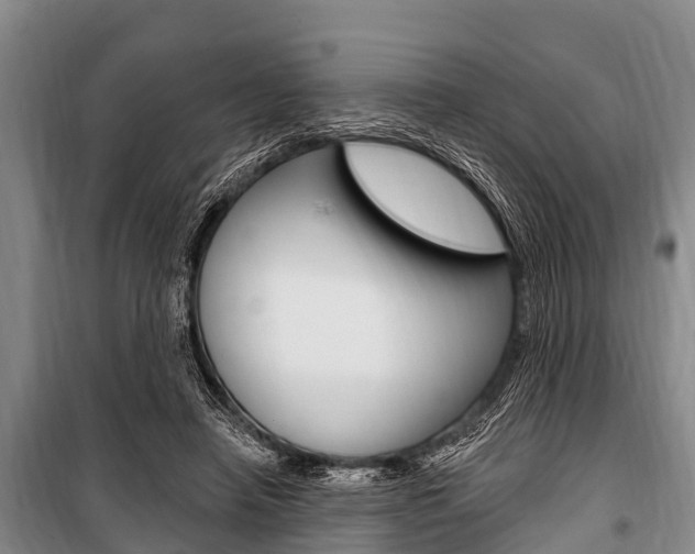 X0000101150450200806270804