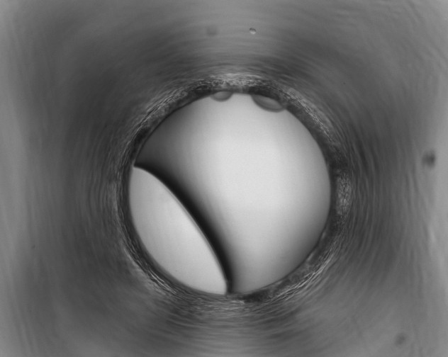 X0000101150451200806270804