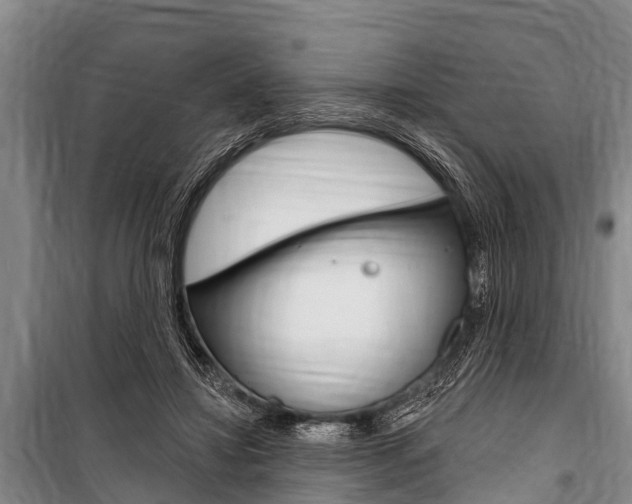 X0000101150452200806270804