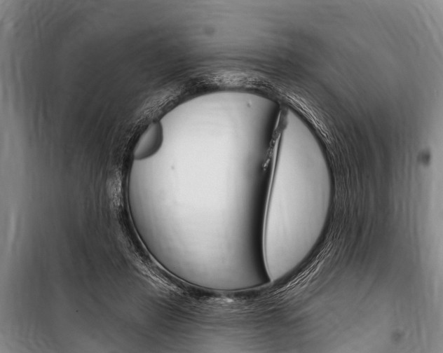 X0000101150453200806270804