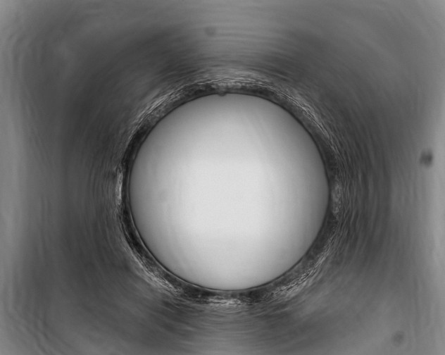 X0000101150454200806270804