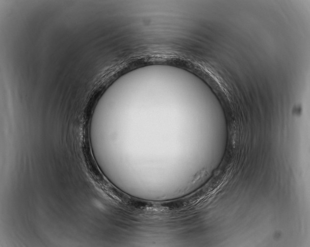X0000101150455200806270804