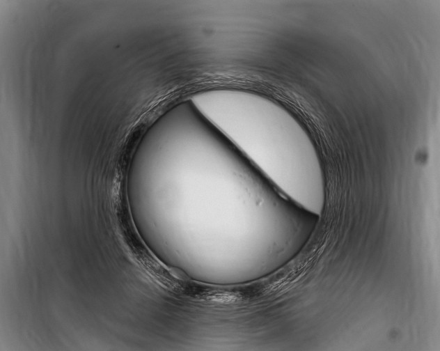X0000101150456200806270804