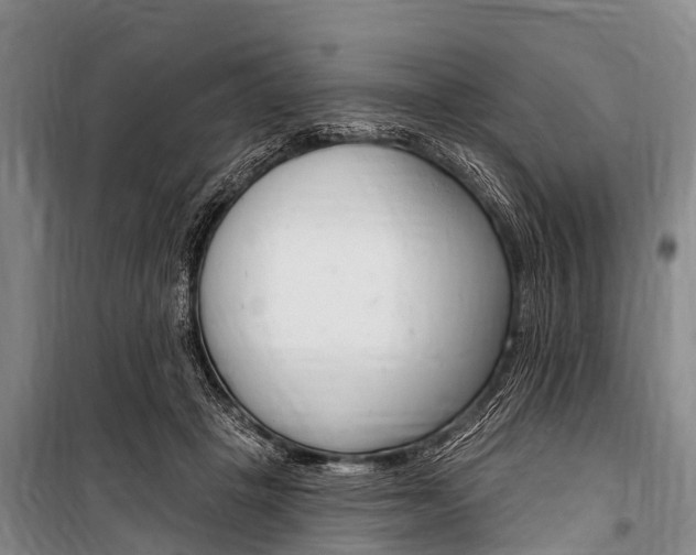 X0000101150457200806270804