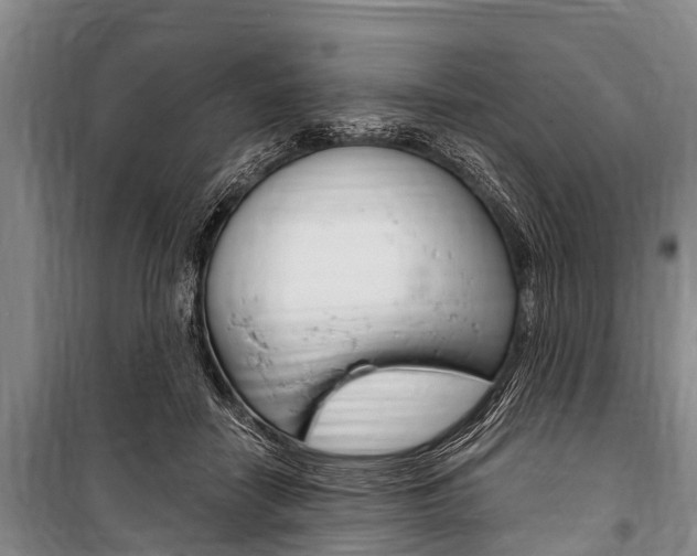 X0000101150458200806270804