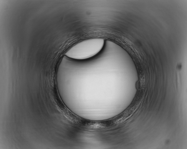 X0000101150460200806270804