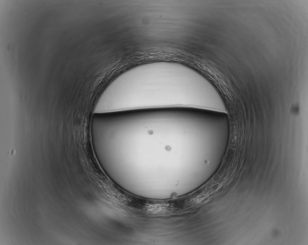 X0000101150461200806270804