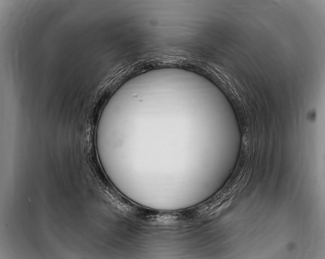 X0000101150462200806270804
