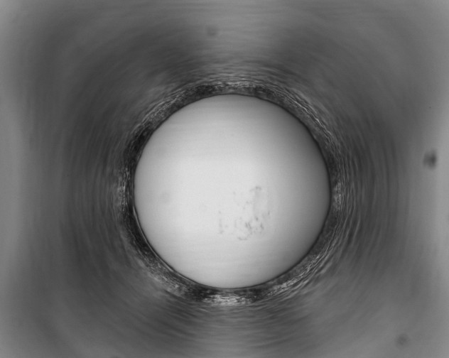 X0000101150464200806270804