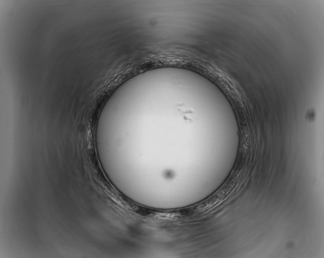 X0000101150465200806270804