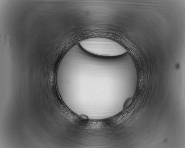 X0000101150469200806270804