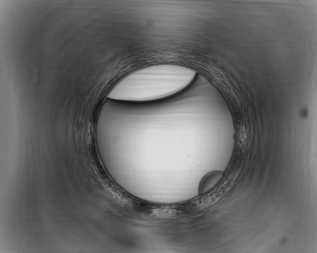 X0000101150470200806270804
