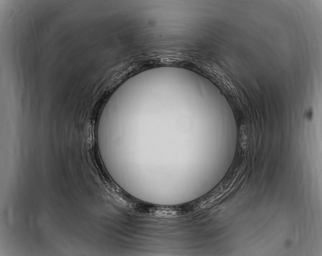 X0000101150471200806270804