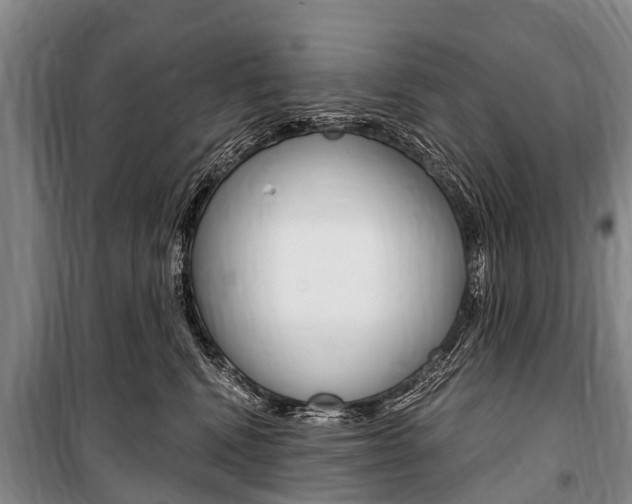 X0000101150472200806270804